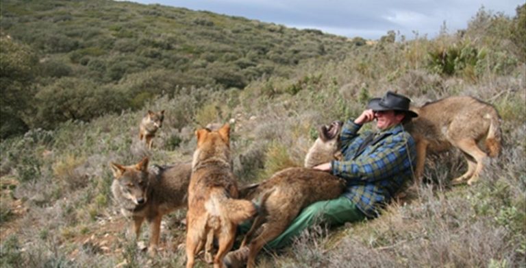 entradas lobo park 3 768x391