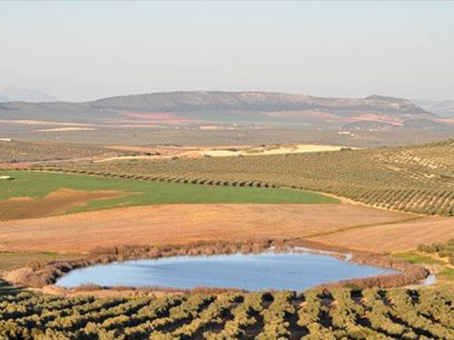 Ruta geologica Malacitana laguna Campillos