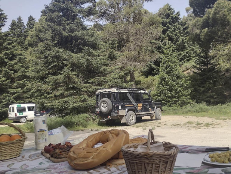 ruta 4x4 en malaga sierra nieves 3 768x577