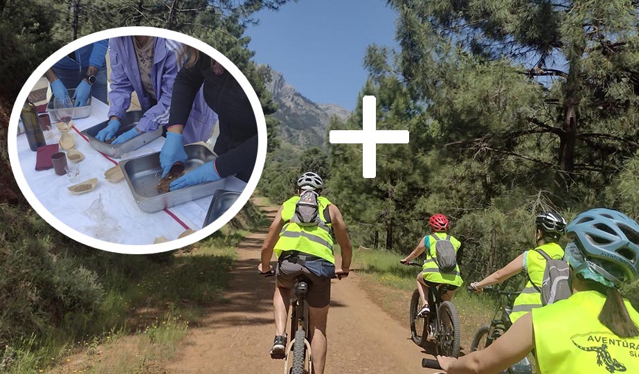 ruta bicicleta electrica taller pan de higos 1