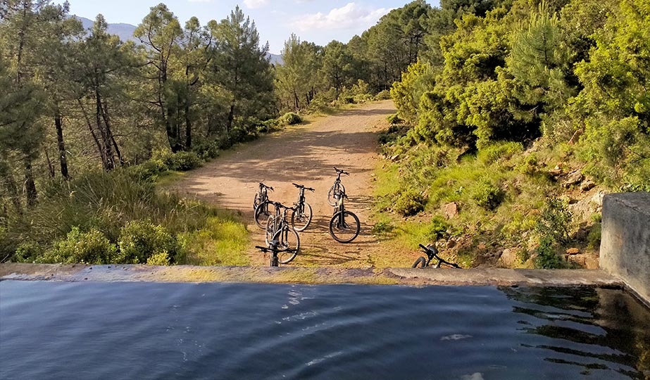 Ruta en bicicleta eléctrica sierra de las nieves