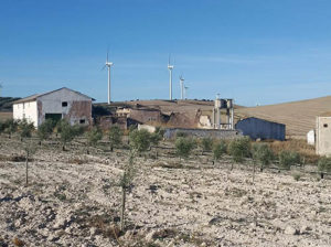 Camino Geológico Malacitano ruta del Viento