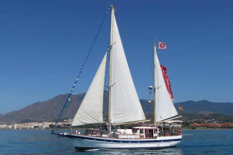 paseo en velero con delfines 5 768x510