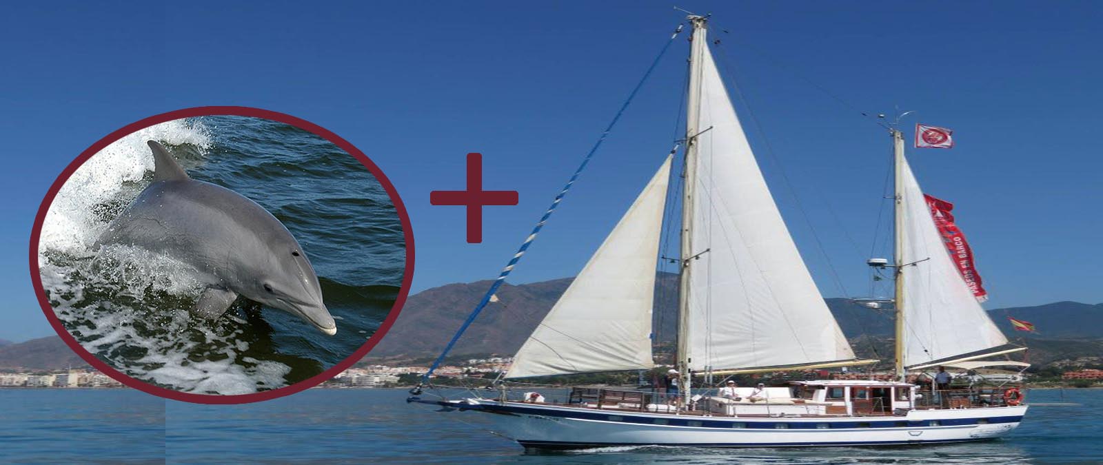 paseo en velero con delfines 6 1