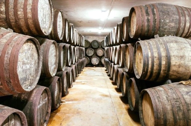 Bodega Cortijo La Fuente 1 768x507