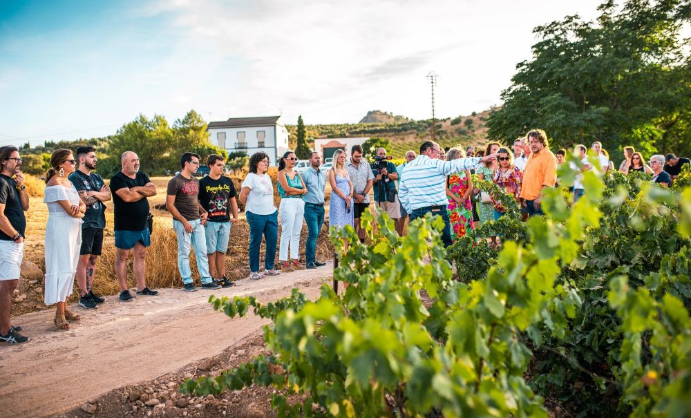 Bodega Cortijo La Fuente