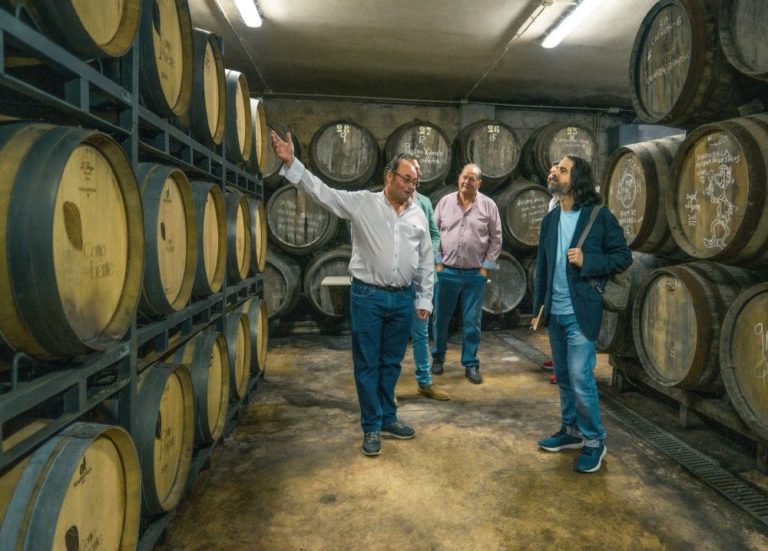 Bodega Cortijo La Fuente 5 768x551