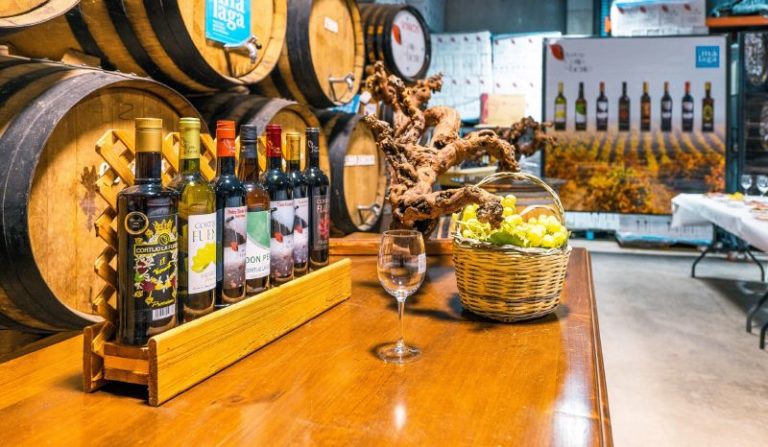 visitas bodega cortijo la fuente 2 768x447