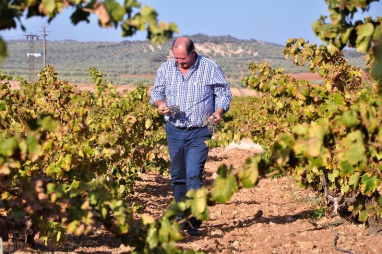 visitas bodega cortijo la fuente 4 768x510