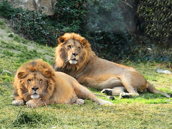 zoológicos y acuarios en Malaga