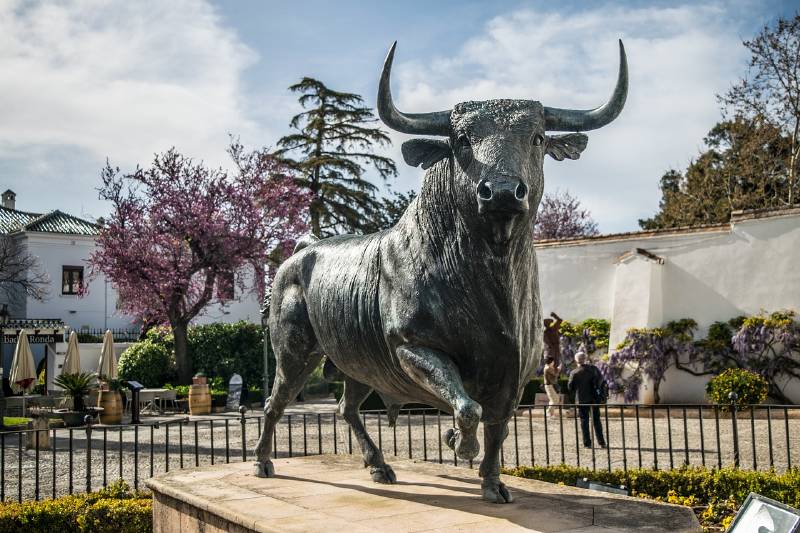 Tour a Ronda desde Malaga en Autobús - Toro de lidia