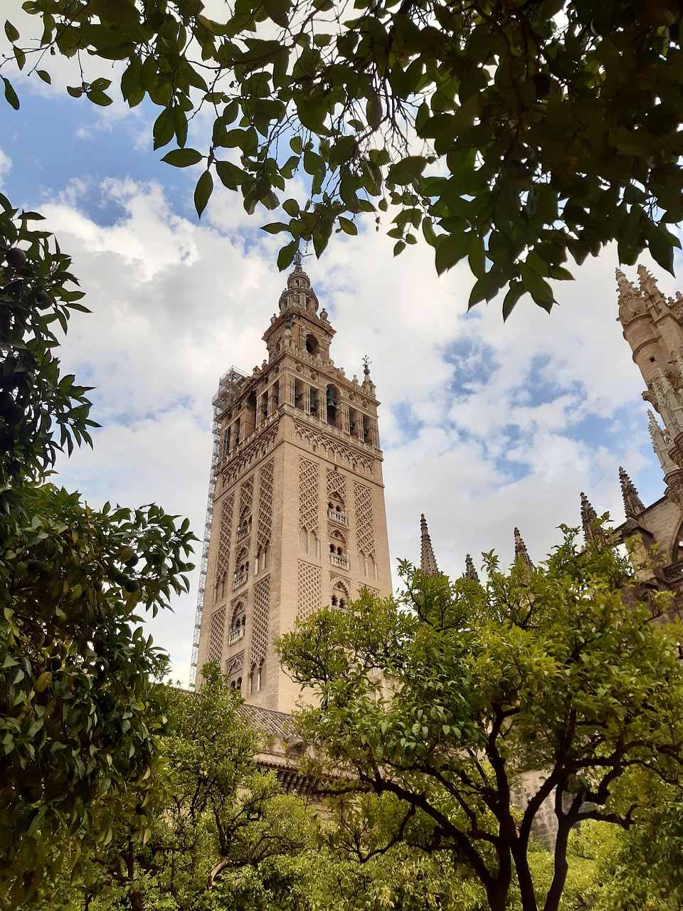 Entradas catedral de Sevilla