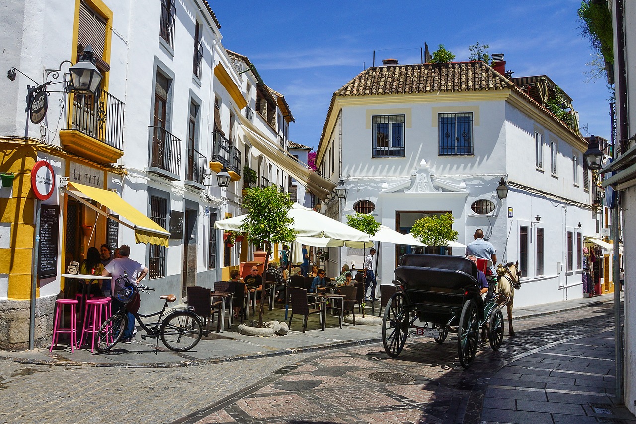 Excursion a patios de Córdoba por libre