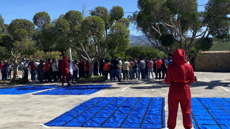 juego del calamar team building 12 768x432