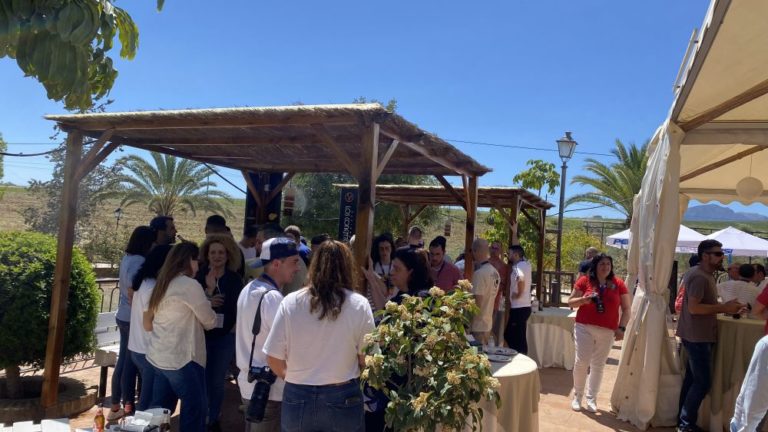 juego del calamar team building 27 768x432