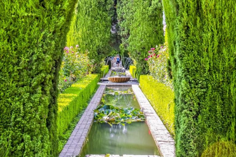 visita guiada alhambra granada 7 768x514