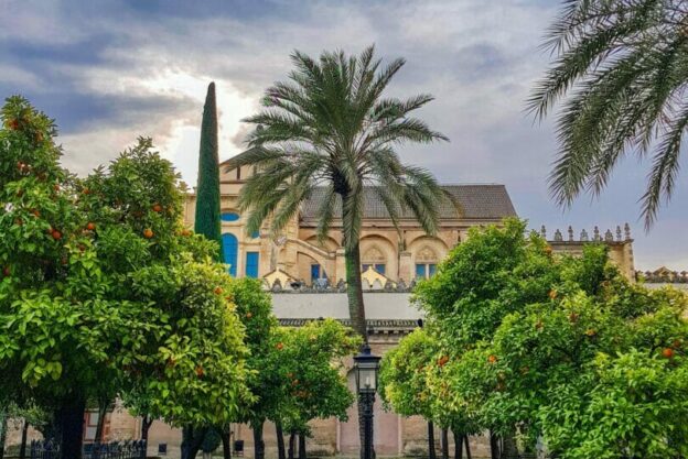 Visita nocturna a catedral de Córdoba