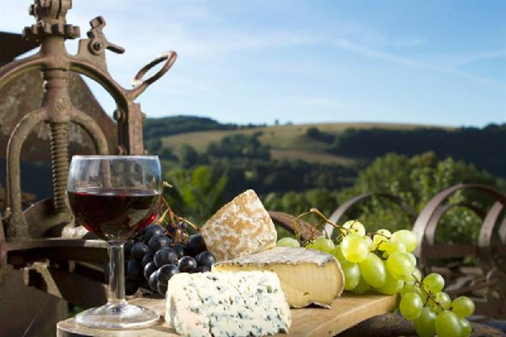 Visita a bodega de ronda