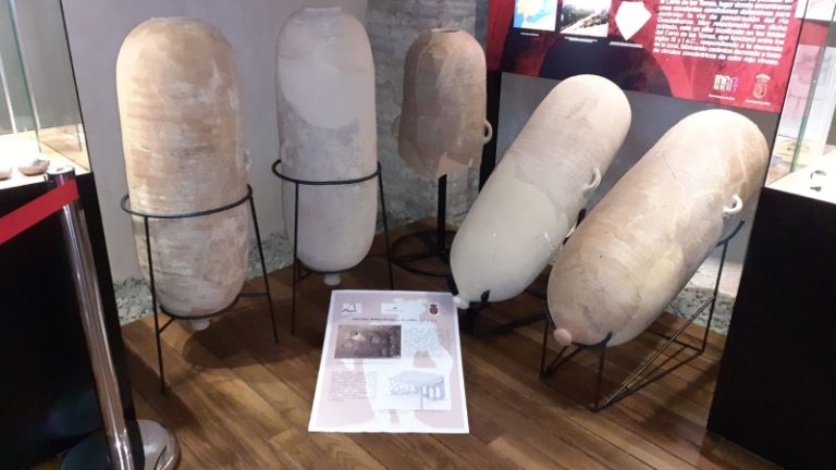 Visita guiada Alora 4 768x432