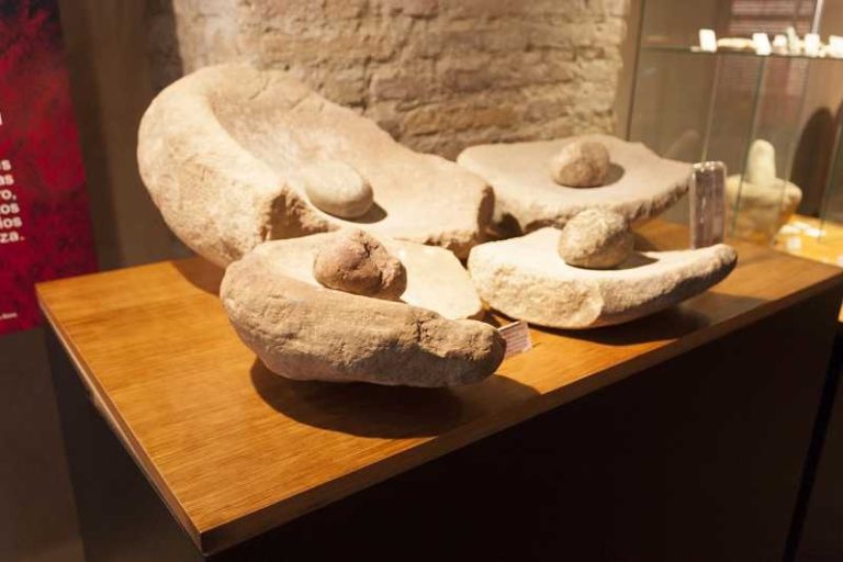 Visita guiada Alora 6 768x512