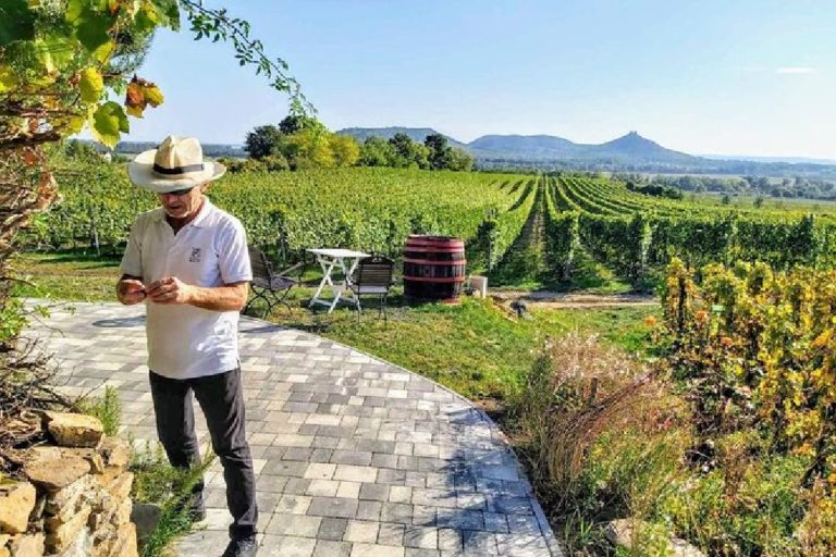 Visiting a Vineyard in Ronda 768x512