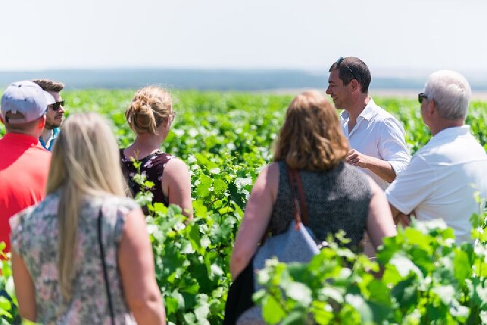 Visita a bodega de ronda