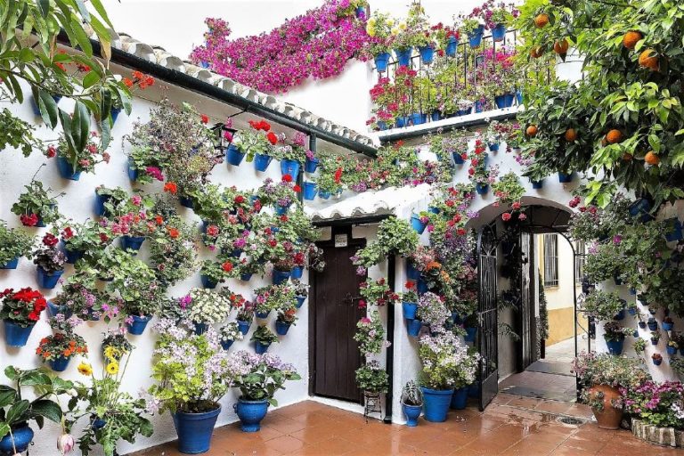 excursion privada mezquita de cordoba 4 768x512