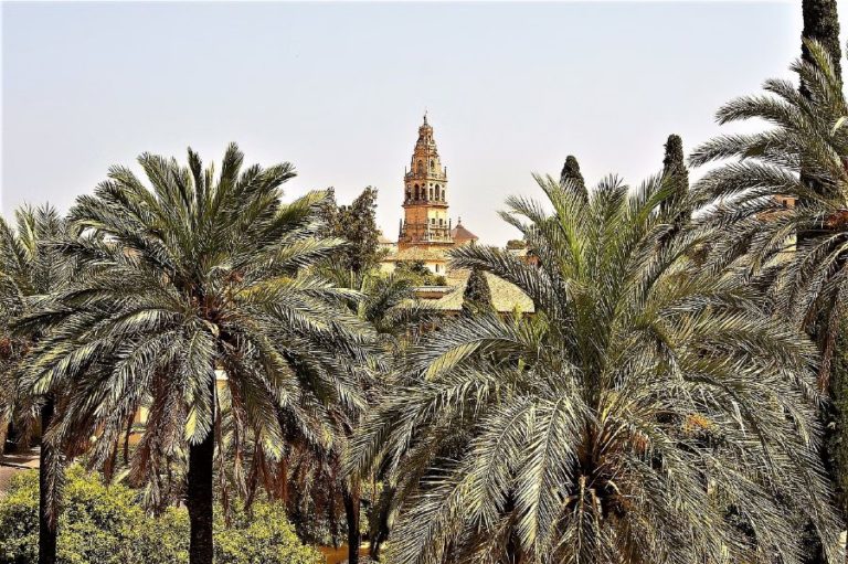 excursion privada mezquita de cordoba 6 768x511