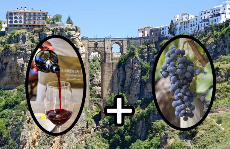 visita a bodega de Ronda 768x499