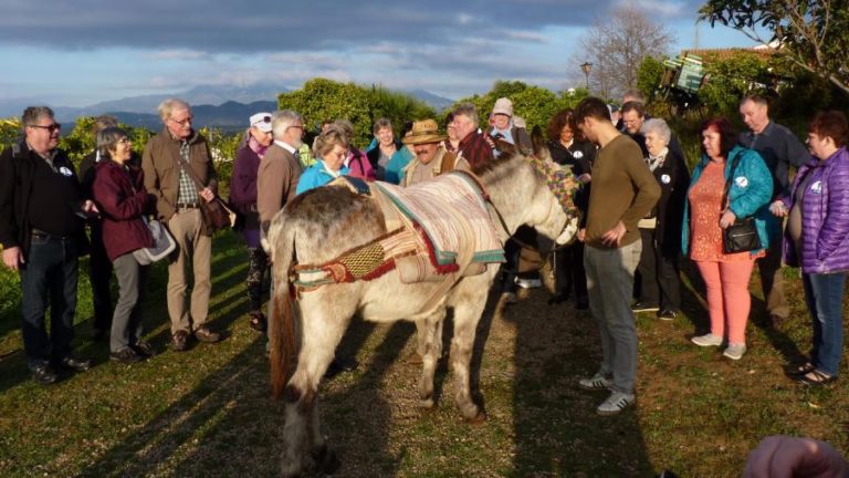Finca ecologica juanito orange 10 768x432
