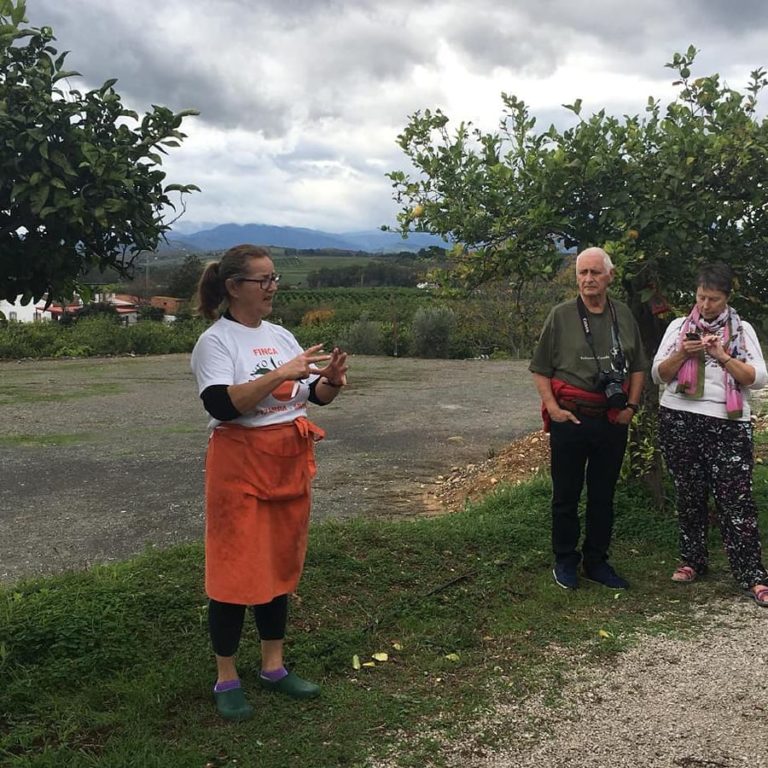 Finca ecologica juanito orange 6 768x768