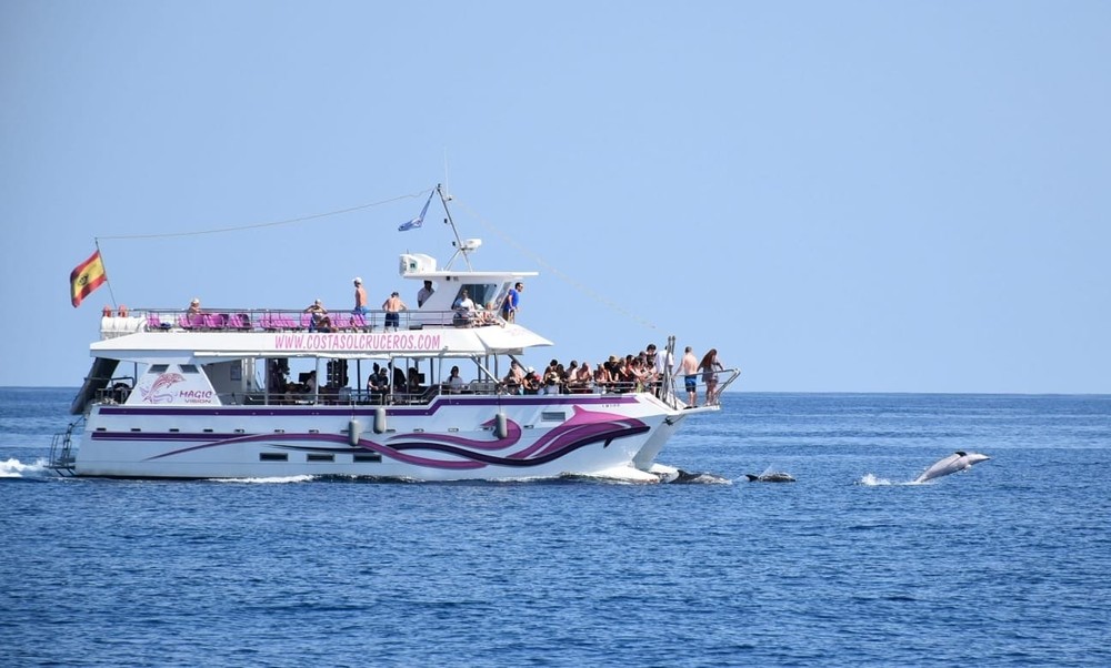 Tour para avistar delfines 3 2