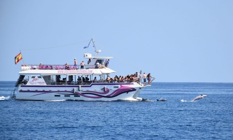 Tour para avistar delfines 3 768x462