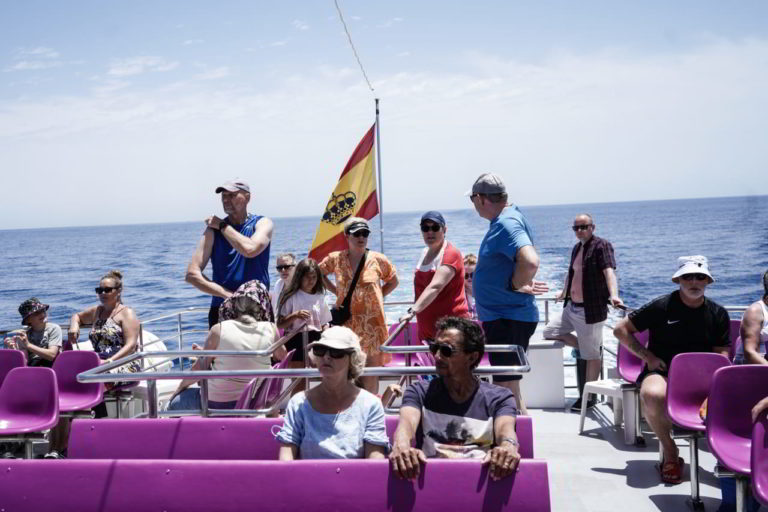 Tour para avistar delfines 4 768x512