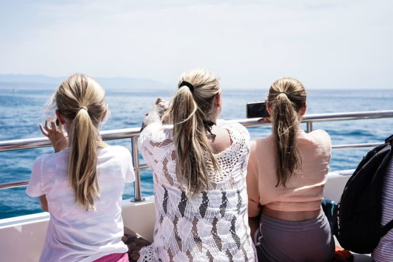 Tour para avistar delfines 6 768x512