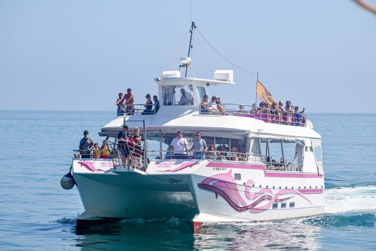 excursion para avistar delfines 3 768x513