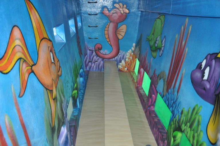 excursion para avistar delfines 5 768x510