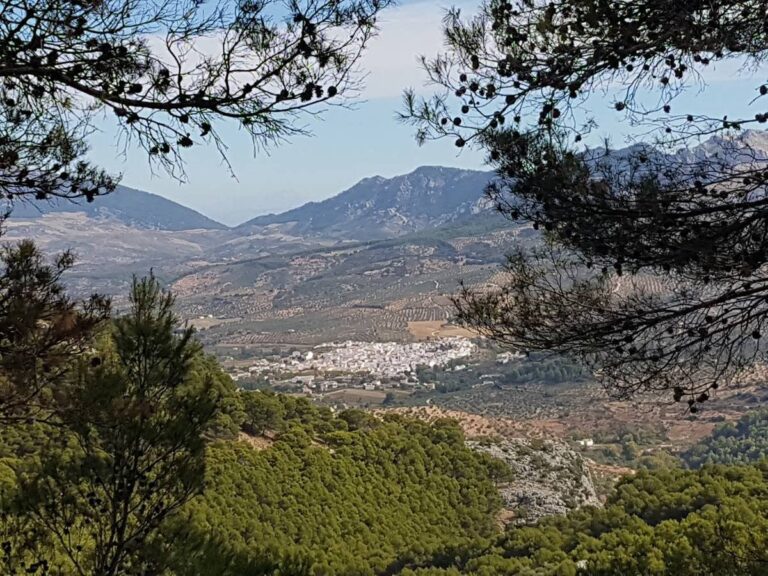 Jeep Rally4X4 1 768x576