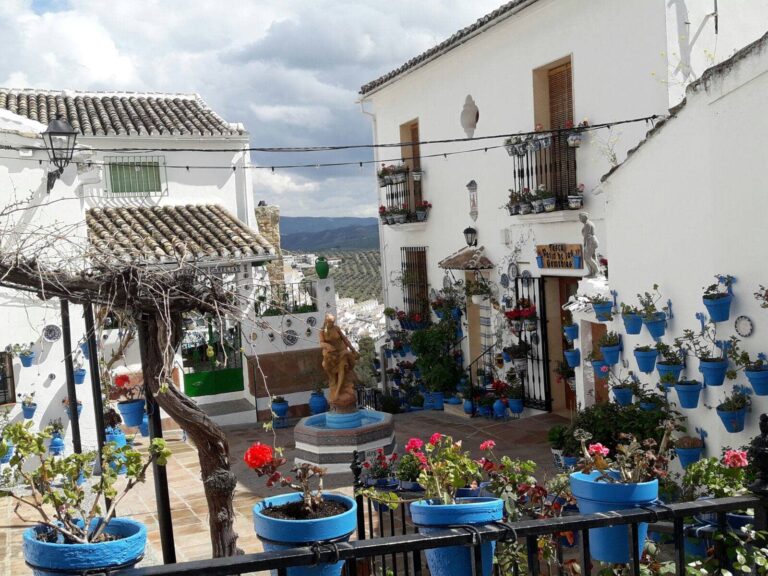 Jeep Rally4X4 17 768x576