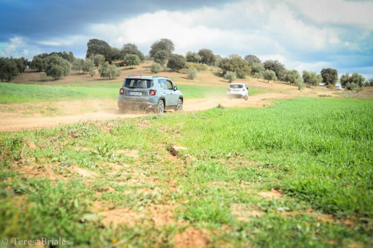 Jeep Rally4X4 2 768x511