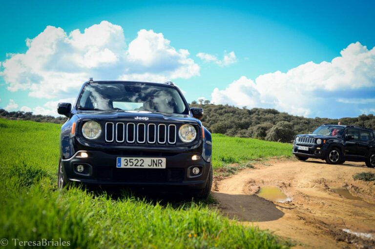 Jeep Rally4X4 3 768x511