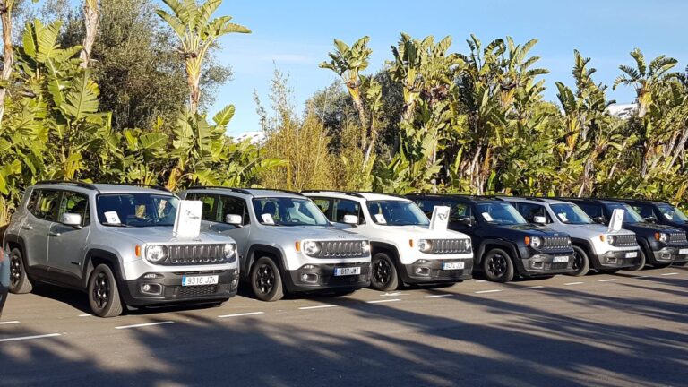 Jeep Rally4X4 5 768x432