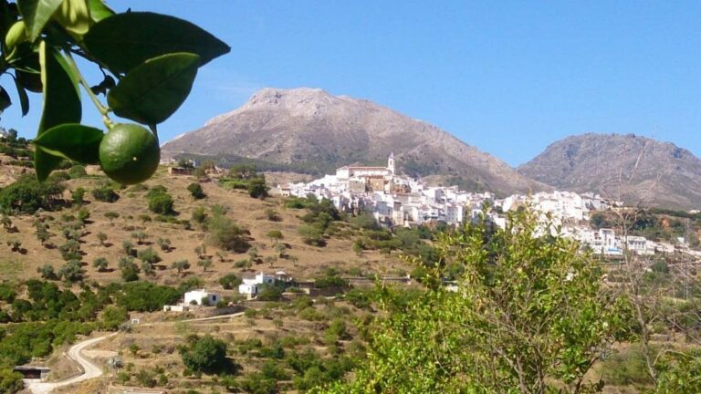 Jeep Rally4X4 7 768x432