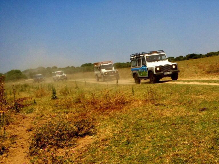 rutas 4x4 malaga 1 8 768x576