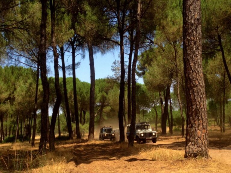 rutas 4x4 malaga 1 9 768x576