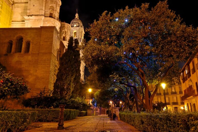 calles malaga noche 768x512