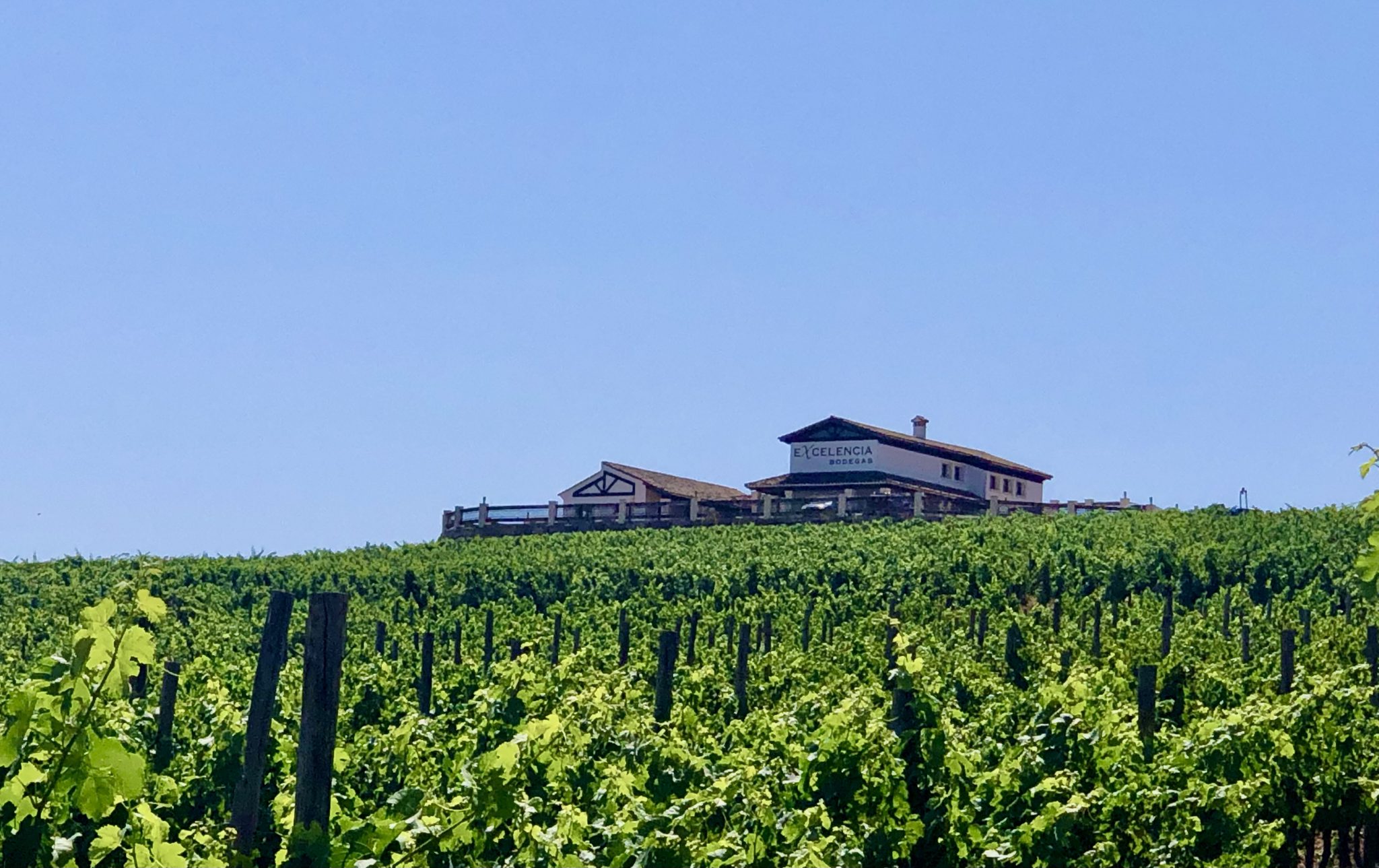 Visita guiada a bodega Excelencia