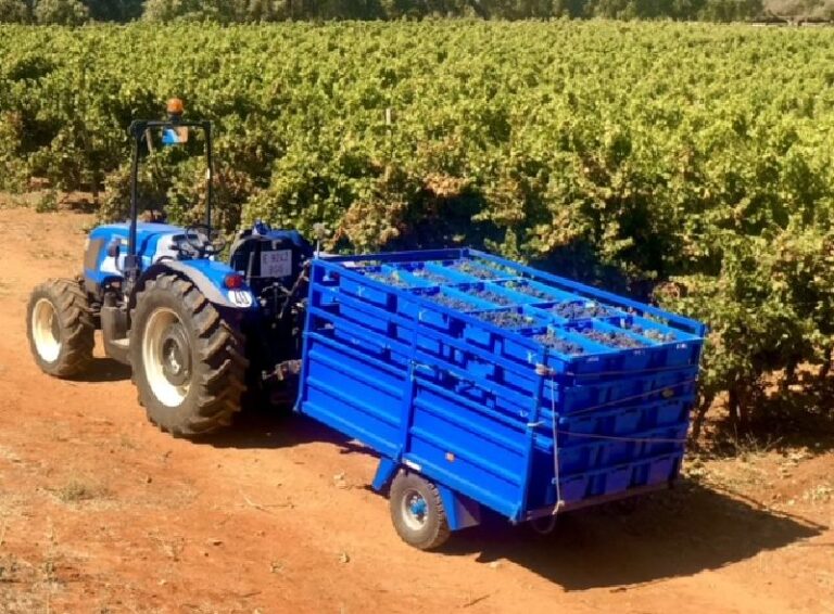 visita guiada bodega excelencia 10 768x566