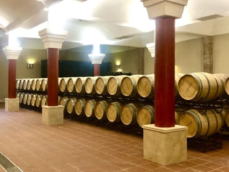 visita guiada bodega excelencia 14 768x576