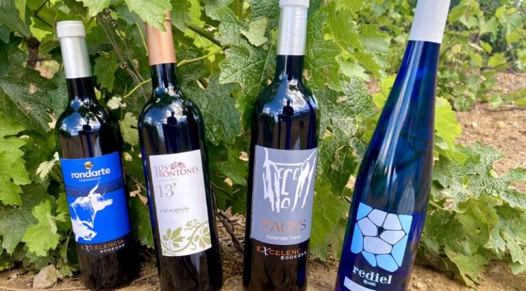 visita guiada bodega excelencia 15 768x425